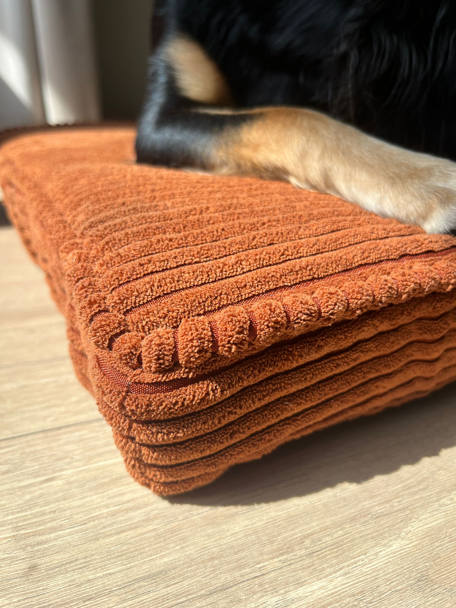 Tierfreundlicher Möbelstoff für moderne Innenräume